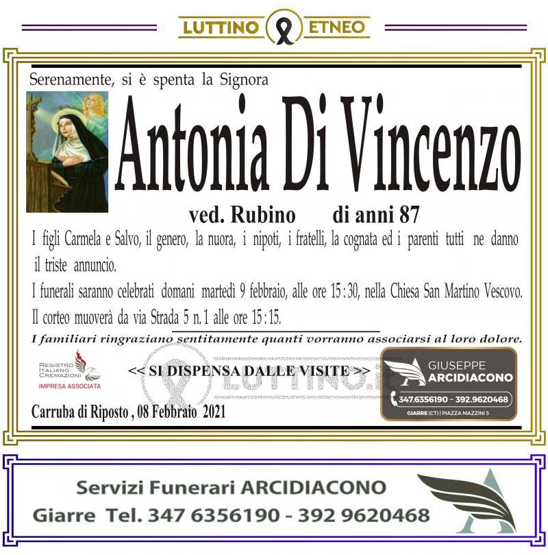 Antonia  Di Vincenzo 